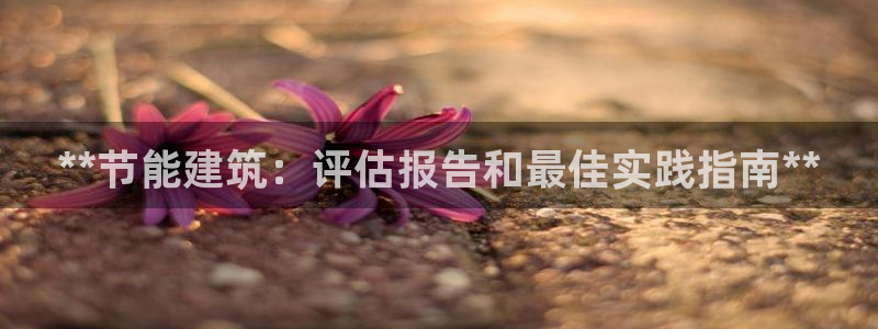 e尊国际是干什么的：**节能建筑：评估报告和最佳实践指南**
