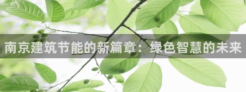 e尊国际客户端下载：南京建筑节能的新篇章：绿色智慧的未来