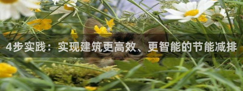 e尊国际可靠吗：4步实践：实现建筑更高效、更智能的节能减排