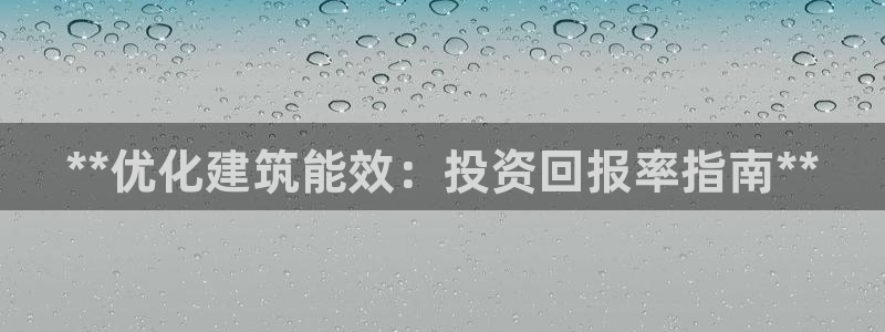 e尊国际是干什么的：**优化建筑能效：投资回报率指南**