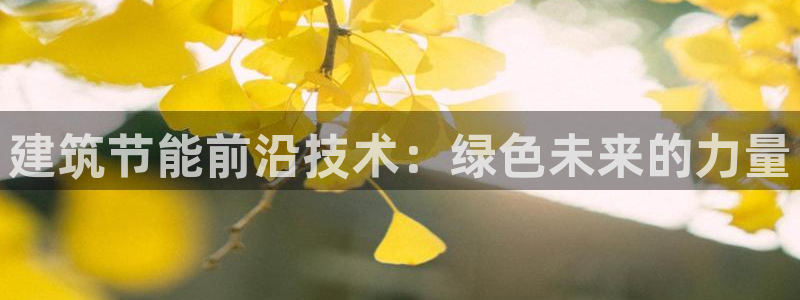 e尊国际娱乐官网下载：建筑节能前沿技术：绿色未来的力量