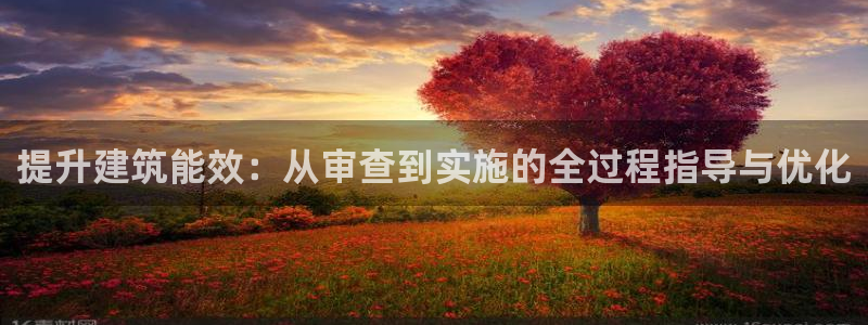 e尊国际客服：提升建筑能效：从审查到实施的全过程指导与优化