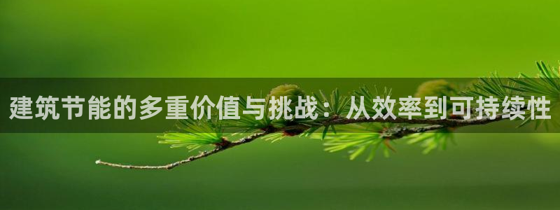 e尊国际7779：建筑节能的多重价值与挑战：从效率到可持续性