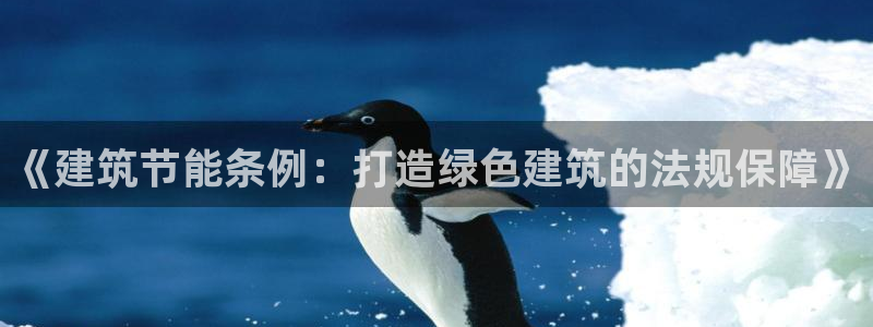 e尊国际地址：《建筑节能条例：打造绿色建筑的法规保障》