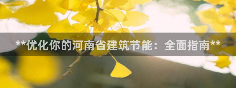 e尊国际官网·网址：**优化你的河南省建筑节能：全面指南**