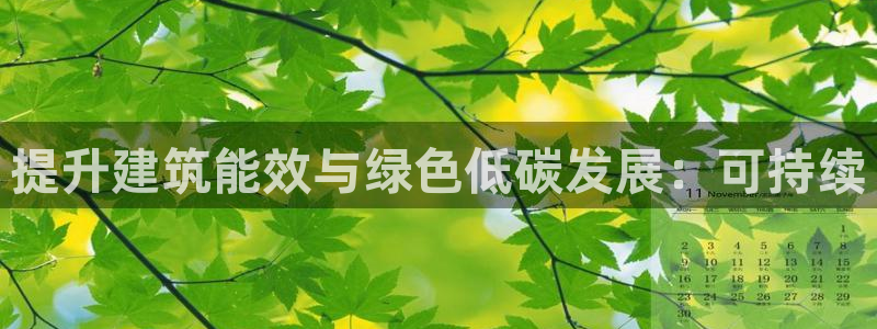 e尊国际的手机登录网站：提升建筑能效与绿色低碳发展：可持续